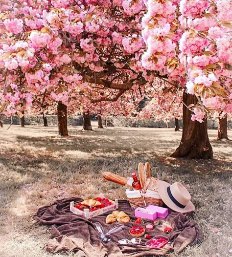 The snow outside gives us a white canvas and we paint it in our minds with spring colours. Who would you go on a picnic to the park while cherry blossoms are blooming? #vividcolours #vividstyle #ViViDfunlab Picnic Inspiration, Romantic Picnics, Picnic Ideas, Perfect Picnic, Picnic Time, Picnic In The Park, Trik Fotografi, Cherry Blossom Tree, A Picnic