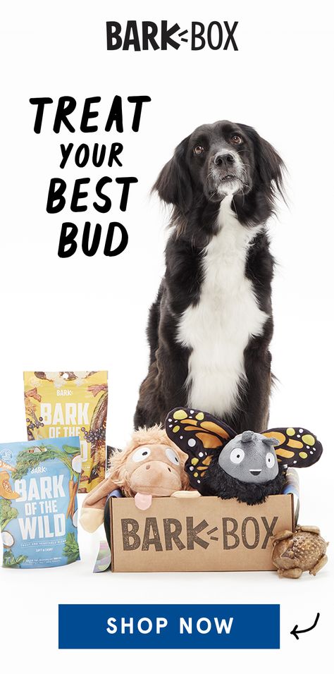 A totally customized box of themed toys and treats for your pup - every month. Shop Now! Recipes Lasagna, Christmas Peace, Best Treats For Dogs, Favorite Friend, Boy Box, Presents Ideas, Best Dog Toys, Chilli Recipes, Dog Things