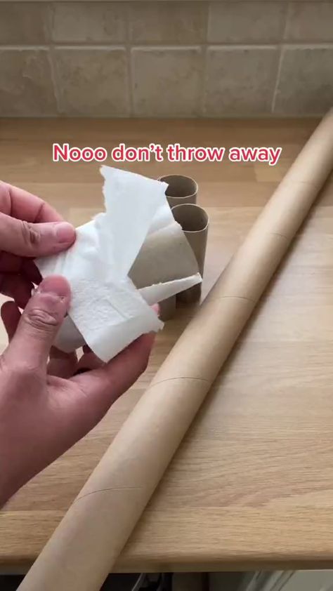 274_How to make a planterpot using old toilet rolls plants tiktokdiy didyouknow upcycle seeds plantdad #didyouknow #garden #plants #diy #planttips #eco #reelsfb #viral | TheGarden | TheGarden · Original audio Old Toilet, Plants Diy, Diary Diy, Garden Vegetables, Gardening 101, Harvest Time, Easy Garden, Toilet Roll, Grow Your Own Food