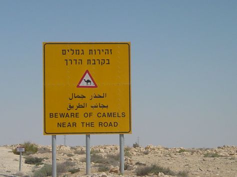 Common sign in Negev Desert Negev Desert, Promised Land, Highway Signs, Signs, Quick Saves