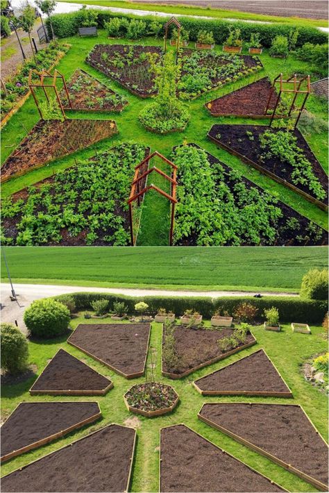 Vegetable Garden Planning Layout, Garden Layout Backyard, Beautiful Garden Layout, Big Garden Plan, Small Veggie Garden Ideas Backyards, Gardening And Landscaping Ideas, Foodscaping Layout, Closed In Garden, Garden Ideas Vegetable Layout