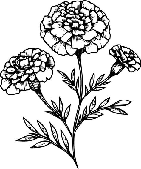 Drawing Marigold Flowers, Marigold Sketch, Marigold Flower Drawing, Marigold Drawing, Marigold Art, Spring Elements, Line Art Coloring, Primrose Flower, Yellow Marigold