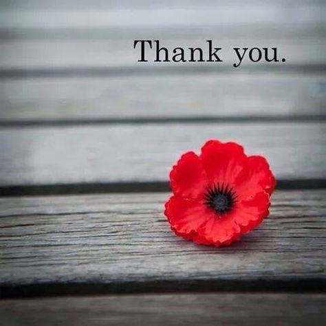 For all who gave and those you continue to give! Thank you is never enough. Memorial Day Poppy, Remembrance Day Images, Remembrance Day Pictures, Remembrance Day Quotes, Remembrance Day Art, Remembrance Day Poppy, Thank You Wishes, Thank You Images, Remembrance Sunday