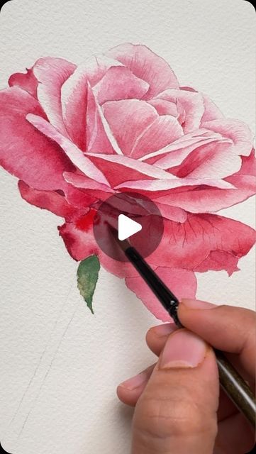 Watercolour Roses, Watercolour Flowers Tutorial, Rose Painting Watercolor, Flower Line Drawings, Watercolor Flowers Tutorial, Watercolor Pictures, Watercolor Painting Techniques, Watercolor Paintings Tutorials, Watercolor Rose