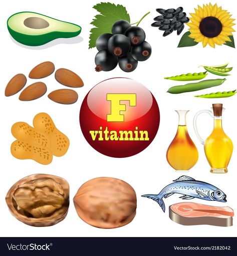 Vitamin F content plant Royalty Free Vector Image Fish Oil Vitamins, Food To Gain Muscle, Casein Protein, Poor Nutrition, Vitamin F, Plant Vector, Well Balanced Diet, Whey Protein Isolate, Bones And Muscles