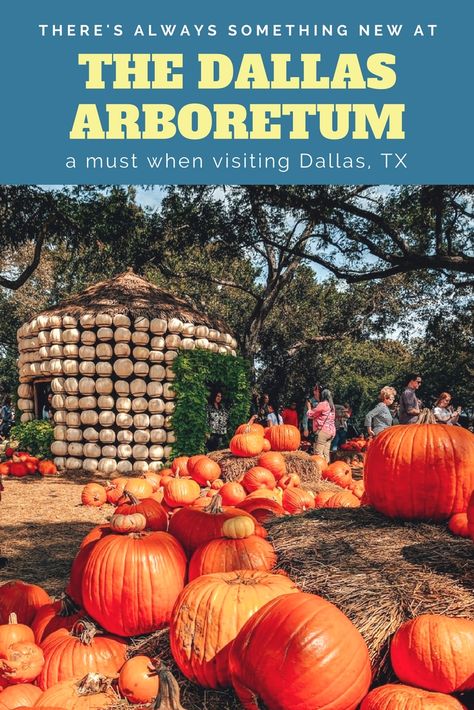 One of the most beautiful places in Dallas is the Dallas Arboretum. Read about 8 things you can expect when visiting this gorgeous park! Places In Dallas, Visit Dallas, Explore Texas, More Followers On Instagram, Texas Roadtrip, Dallas Arboretum, Cotton Bowl, Landscape Architect, Instagram Tips