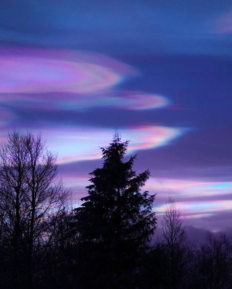 Polar Stratospheric Clouds, Stratospheric Clouds, Interference Of Light, Ice Photography, Winter Wonderland Party, Nature's Bounty, Winter Solstice, The Horizon, Travel Inspo