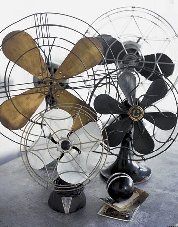 Nice compilation of vintage rare desk fans. Share our passion and take a look at www.onlyonceshop.com Vintage Fan, Old Fan, Metal Fan, Vintage Fans, Vintage Things, Electric Fan, Design Industrial, Love Vintage, Industrial Chic