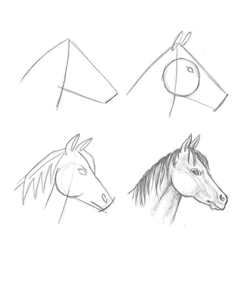 Easy Horse Drawing Step By Step, How To Draw Horse, Horse Drawing Easy, Easy Horse Drawing, Horse Drawing Tutorial, Animal Sketches Easy, Horse Art Drawing, Easy Animal Drawings, Pencil Drawings For Beginners