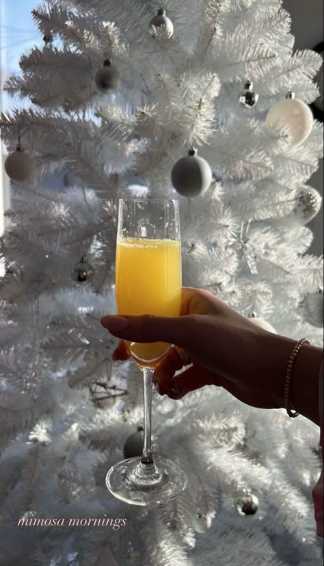 Christmas Morning Instagram Story, Mimosa Instagram Story, Mimosas Aesthetic, Brunch Instagram Story, Nail Inspo White, Insta Post Ideas, Christmas Mimosa, Copper Coins, Insta Post