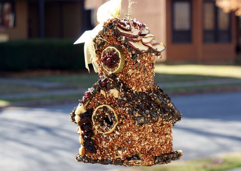 This easy to make DIY edible birdhouse makes a great DIY spring craft project for bird lovers as well as unique homemade gift idea for nature lovers! Bird House Craft, Edible Birdhouse, Unique Homemade Gifts, Homemade Gift Idea, Birdhouse Craft, Winter Diy Crafts, Diy Spring Crafts, House Craft, Diy Edible