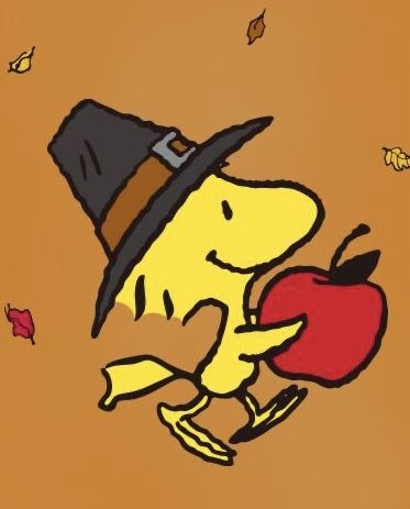 Snoopy And Woodstock Thanksgiving, Pumpkin Charlie Brown, Halloween Snoopy And Woodstock, Thanksgiving Widget Pictures, Woodstock From Charlie Brown, Fall Peanuts Aesthetic, Snoopy The Great Pumpkin, Snoopy Halloween Drawing, Snoopy And Woodstock Fall