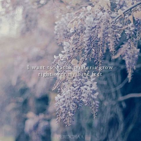 Wisteria Taylor Swift, Lakes Taylor Swift Lyrics, Taylor Swift Lockscreen Lyrics, Lakes Taylor Swift, The Lakes Taylor Swift, Taylor Swift Wallpaper Lyrics, Taylor Swift Lyrics Aesthetic, Lockscreen Lyrics, Taylor Swift Lockscreen