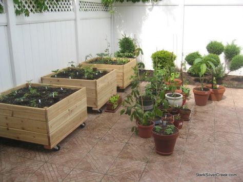 Vegetable planter box DIY inspiration from T-Bone - Stark Insider Garden Terracing, Vegetable Planter Boxes, Urban Planters, Garden Boxes Diy, Vegetable Planters, Diy Planter, Garden Planter Boxes, Diy Planter Box, Raised Planter