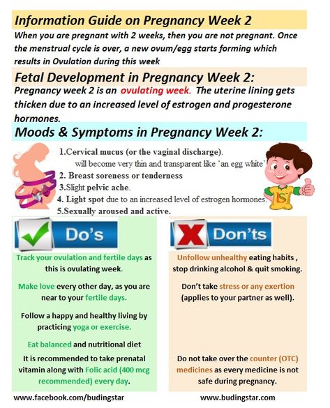 When you are pregnant with 2 weeks, then you are not pregnant. 2 weeks pregnant is an ovulating week. (When you will come to know about your pregnancy, you would be probably around 4 weeks pregnant or may be 5 weeks pregnant.) Once the menstrual cycle is over, a new ovum/egg starts forming which results in Ovulation during this week. Ovulation is a time when a mature egg is released from an ovary, pushed down via Fallopian tube and is available to be fertilized. Pregnancy Week 6, 8 Weeks Pregnant, First Prenatal Visit, Pregnancy Due Date Calculator, 4 Weeks Pregnant, 9 Weeks Pregnant, 6 Weeks Pregnant, 5 Weeks Pregnant, Ovulation Calculator