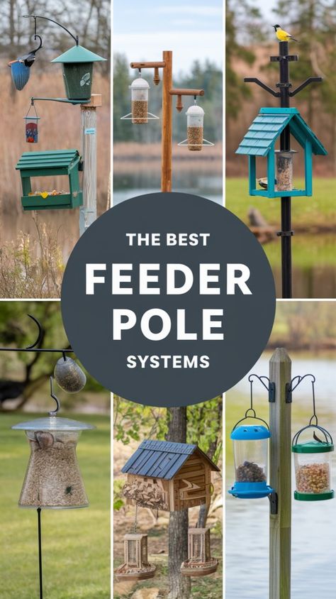 I tested nine different pole stations and used my 25+ years of backyard birding experience to bring you trustworthy advice. Bird Feeding Stations Ideas, Birdfeeder Pole Ideas, Bird Feeder Area Ideas, Outdoor Bird Feeder Station, Bird Feeder Landscaping Ideas, Bird Feeding Station Ideas Diy, Diy Bird Feeder Stand, Bird Feeder Station Ideas Diy, Bird Feeder Station Ideas