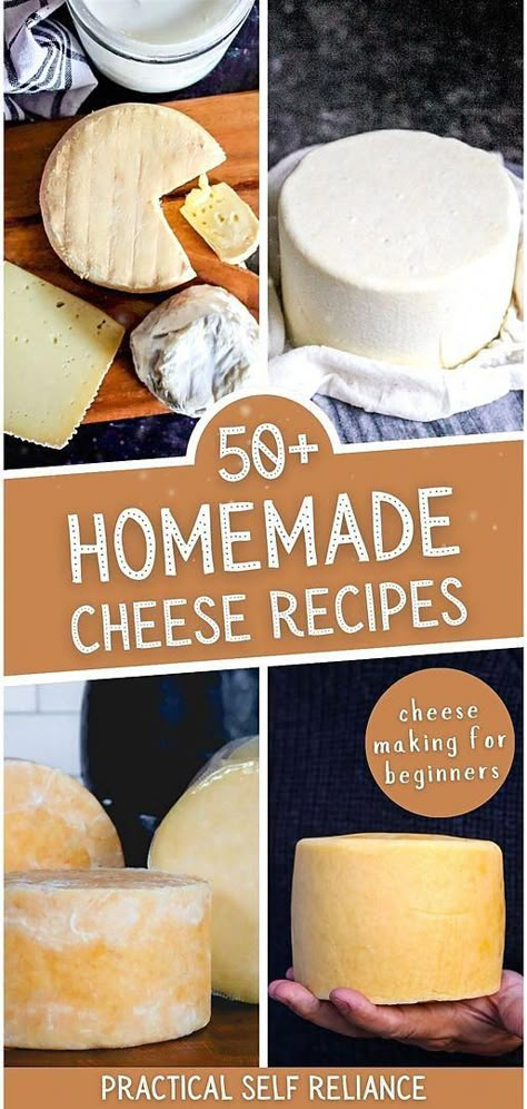 Discover the joy of homemade cheese with our collection of over 50 recipes, perfect for beginners in cheesemaking. From the basics of cheddar to the nuances of colby, these easy-to-follow recipes will guide you through the process, making the art of cheesemaking accessible and enjoyable. Find more easy whole food recipes, DIY homestead projects, and homestead survival at practicalselfreliance.com. Sharp Cheese Recipes, Diy Parmesan Cheese, Make Your Own Mozzarella Cheese, Make Cheese From Milk, Diy Cheese Press, Motzerrela Cheese, Soft Cheese Recipes, How To Make Mozzarella Cheese, Diy Mozzarella Cheese