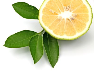 Bergamot Oil - Seductive with an uplifting citrus scent. #SoapMaking #SoapOil #EssentialOil