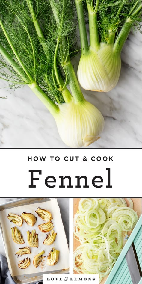 What is Fennel? (And How to Cook It) - Recipes by Love and Lemons Cabbage And Fennel Recipes, Sauteed Fennel Recipes, Fennel Recipes Sauteed, Sauteed Fennel, Fennel Roasted, Fennel Recipe, Misfits Market, Homemade Vegetable Broth, Tomato Pasta Recipe