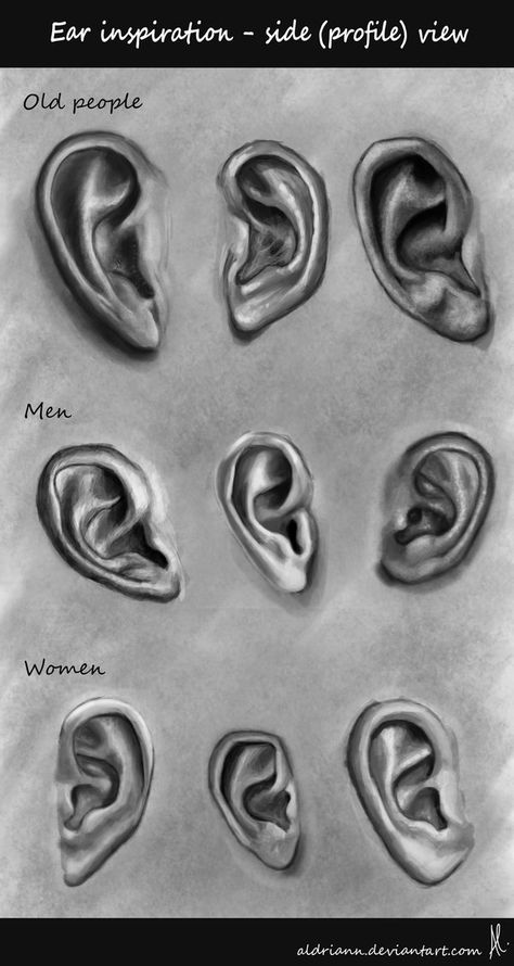 Ear Shapes, How To Draw Ears, Body Part Drawing, Human Body Art, Ear Art, Realistic Pencil Drawings, Eye Drawing Tutorials, Nose Drawing, Art Painting Tools