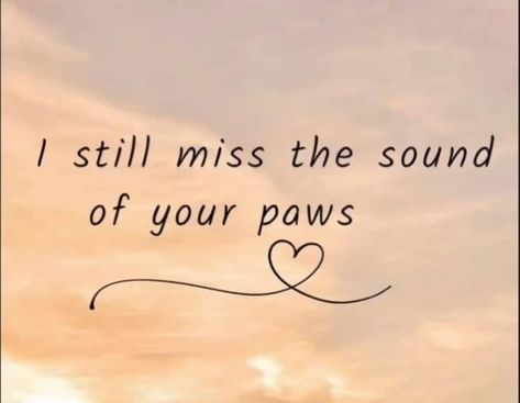 Love Missing Quotes, Pet Sympathy Quotes, Losing A Pet Quotes, Dog Phrases, Dog Heaven Quotes, Pet Quotes Dog, Soul Dog, Pet Poems, Farm Pets