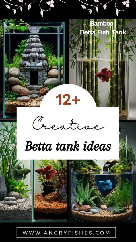 Find inspiration with these betta fish tank ideas that are sure to captivate any aquarium lover. Whether you’re a beginner or an experienced hobbyist, our guide offers a variety of stylish and innovative betta tank designs to enhance your aquarium. Don’t miss out on these fantastic ideas—click to explore! Multiple Fish Tank Setup, Betta Fish Aquarium Ideas, Beta Tank Ideas, Diy Betta Fish Tank Ideas, Tropical Fish Tank Ideas, Betta Tank Ideas, Cool Fish Tank Ideas, Small Fish Tank Ideas, Small Aquarium Ideas