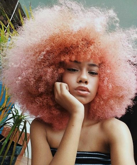 Her pink afro is lit!!!!!!! Pink Afro, Jessica Pare, Pelo Afro, Hair Reference, Grunge Hair, Afro Hairstyles, Trendy Hairstyles, Pretty Hairstyles, Pink Hair