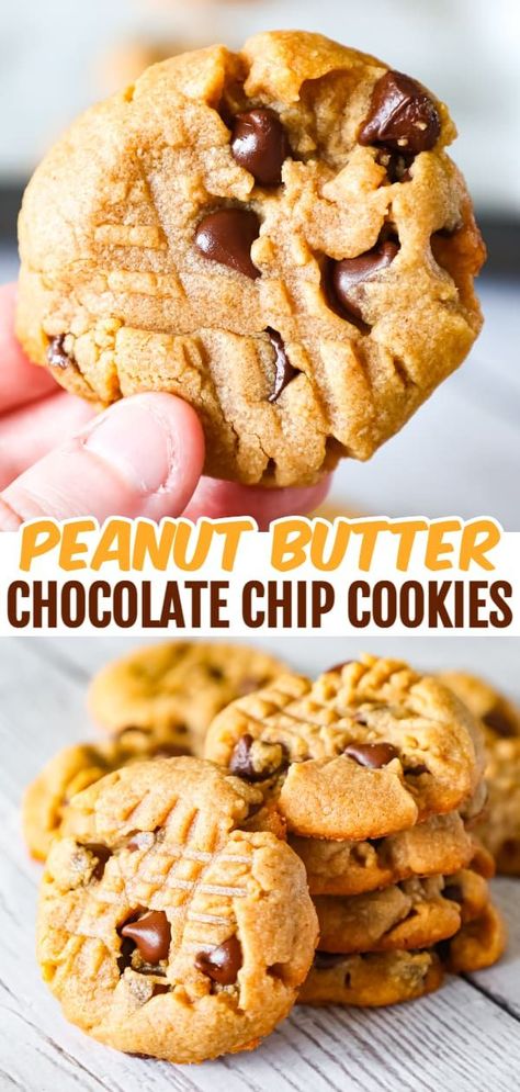 Peanut Butter Chocolate Chip Cookies are simple and delicious peanut butter cookies loaded with semi sweet chocolate chips. Chocolate Chip Cookie Delight, Homemade Peanut Butter Cookies, Butter Desserts, Homemade Chocolate Chips, Chewy Peanut Butter Cookies, Peanut Butter Chocolate Chip Cookies, Pudding Cookies, Chocolate Peanut Butter Cookies, Lost 100 Pounds