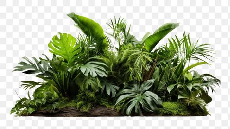 Decal Bloxburg, Garden Jungle, Fern Bush, Campus Landscape, Palm Tree Png, Tree Photoshop, Jungle Flowers, Tree Fern, 3d Warehouse