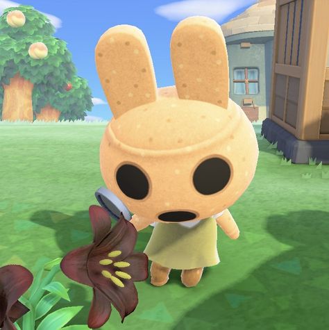 Acnh Aesthetic Villagers, Acnh Villager Aesthetic, Acnh Pfp Aesthetic, Coco Acnh, Coco Animal Crossing, Acnh Kangaroo Villagers, Animal Crossing Characters, Animal Crossing Villagers, Just A Game