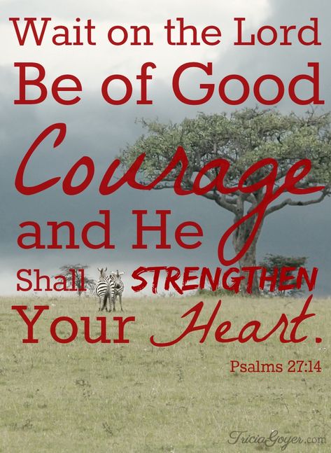 Wait on the Lord | Psalms 27:14 - Tricia Goyer Saturday Scripture, Scripture Psalms, Psalms 27, Wait On The Lord, Be Of Good Courage, Psalm 27, A Bible Verse, Gods Timing, Favorite Bible Verses