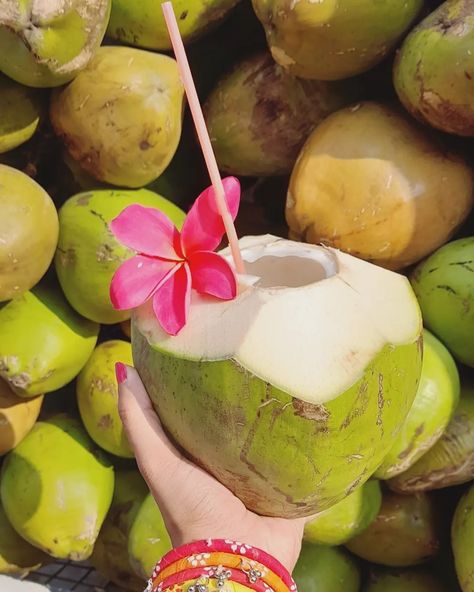 Tender Coconut Aesthetic, Indian Beach Aesthetic, Desi Summer Aesthetic, Coconut Drink Aesthetic, Indian Summer Aesthetic, Coconut Water Aesthetic, Tropical Girl Aesthetic, Summer Academia, Kerala Photography