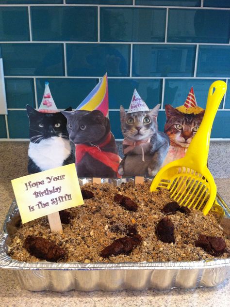 "Kitty litter cake" Just a box of cake with frosting, topped with Oreos and Nilla wafers crushed up on top. Smoosh up brownies to make "poop" and you're all set! Cat Birthday Party Treats, Snacks For Cat Themed Party, Birthday Party For A Cat, Litterbox Cake, Cat Theme Party Food, Birthday Party For Cats, Cat Litter Box Cake, Cat Themed Birthday Party Food, Cat Litter Cake