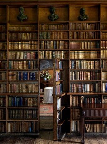 Hidden Library, Secret Passage, Lots Of Books, Secret Passages, Secret Passageways, Bookcase Door, Dream Library, Secret Room, Library Room