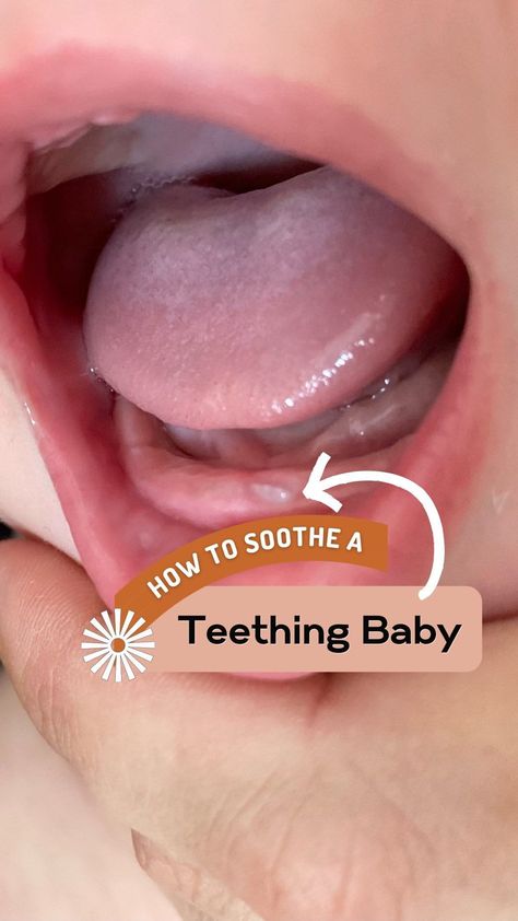 karrie_locher on Instagram: 🦷ASIDE from teething toys— what can I do?! 🦷 So many options! 🧸First of all— you don’t need the fancy teething toys to get your baby… Signs Baby Is Teething, Celery For Teething, Teething Popsicles Baby, When Do Babies Start Teething, Teething Meme, Baby Teething Toys, Teething Toys, Baby Teeth, Frozen