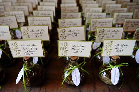 Green Placecards/Guest Favors - weddingday-online.com Wedding Favors Italian, Italian Wedding Favors, Trendy Wedding Favors, Honey Wedding Favors, Italian Theme, Creative Wedding Favors, Inexpensive Wedding Favors, Italian Spices, Elegant Wedding Favors