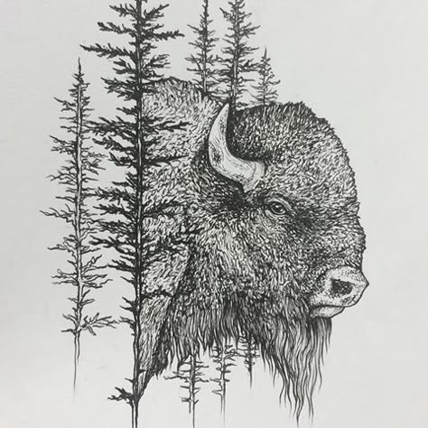 Buffalo Wood Burning, Buffallo Art, Native Buffalo Tattoo, Bison Tattoo Ideas For Women, Buffalo Head Tattoo, Drawing Buffalo, Bison Tattoo Ideas, Buffalo Tattoo Ideas, Buffalo Tattoos