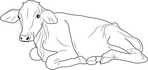 Free Cow Coloring Pages Printable http://procoloring.com/cow-coloring-pages/ Cow Sitting Drawing, Cow Sitting, Face Printable, Cow Coloring Pages, Cow Colour, Longhorn Cow, Dairy Cow, Cow Face, Cartoon Cow