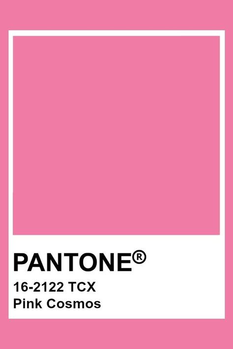 Pink Cosmos Pantone, Pink Color Palette Pantone, Pantone Colour Palettes Pink, Pink Swatches Colour Palettes, Colour Swatches Pantone, Pink Pantone Colors, Pink Pantone Palette, Pantone Pink Shades, Pantone Color 2023