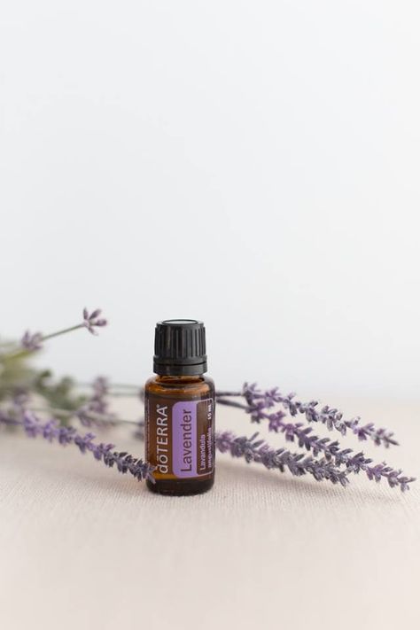 doTERRA Lavender Essential Oil Lavender Oil Aesthetic, Essential Oils Aesthetic Photography, Lavender Product Photography, Essential Oil Product Photography, Essential Oils Photography, Essential Oil Photography, Lavanda Doterra, Lavender Doterra, Lavender Skincare