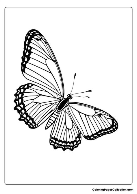 Looking for simple and fun butterfly coloring pages for teenagers? This collection offers easy-to-color designs that will keep them entertained. #butterflycoloringpages #coloringpages #teens #easy #fun Teen Coloring Pages, Coloring Pages For Teens, Coloring Pages Easy, Butterfly Coloring Pages, Coloring Pages For Teenagers, Easy Butterfly, Butterfly Coloring, Simple Butterfly, Easy Coloring Pages