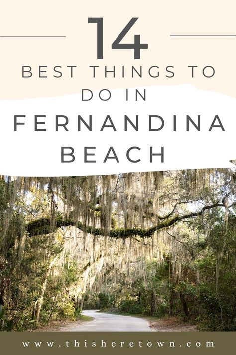 Best Things to Do in Fernandina Beach, Florida — This Here Town Vilano Beach Florida, Bradenton Beach Florida, Island Activities, Florida Activities, Fernandina Beach Florida, New Smyrna Beach Florida, Cumberland Island, Bradenton Beach, Retirement Travel