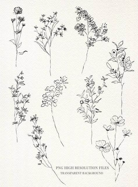 Drawn Wild Flowers, Fine Line Flowers Design, Small Flower Illustration, Flower Line Illustration, Botanical Drawings Black And White, Simple Flower Sketch, Floral Fine Line Tattoo, Wild Flower Drawing, Fineline Flowers