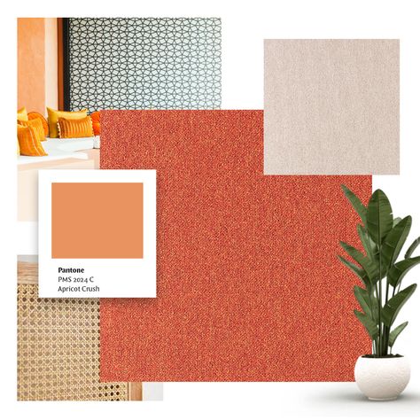 MOODBOARD TREND COLOUR | This year's trend colour is Apricot Crush. A smooth pastel pink with a touch of orange. Get inspired with our Cobalt SDN collection colour 64038! 👉 https://www.tapibel.be/collections/cobalt-sdn Apricot Crush, Pantone Trends, Crush A, Qatar Doha, Doha, Color Trends, Qatar, Pastel Pink, Get Inspired