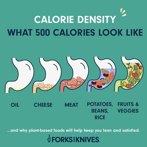 Calorie Density Chart, Calorie Density, Makanan Rendah Kalori, Calorie Chart, Healthy Vegan Diet, Calorie Dense Foods, Forks Over Knives, American Diet, 500 Calories