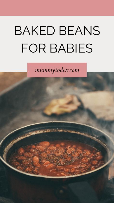 Beans For Babies, Healthy Baked Beans, Canned Baked Beans, Homemade Baked Beans, Homemade Beans, Weaning Recipes, Healthy Baked, Cheese Bites, Baby Eating