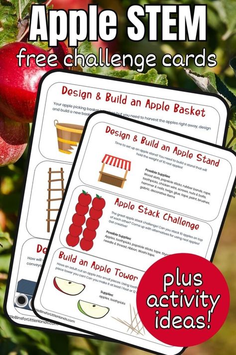 Apple STEM Challenge Cards Stem Challenge Cards, Stem Cards, Apple Science Experiments, Johnny Appleseed Activities, What Is Stem, Paper Towel Tubes, Apple Stem, Engineering Design Process, Apple Activities