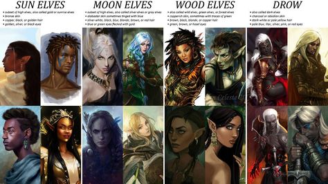 “an infographic on elves cause sun elves don't have white skin and i'm tired of google searching "d&d poc elf." #DnD #dnd5e” Copper Dragonborn, Sun Elves, Types Of Elves, Sun Elf, Dnd Things, Dnd Druid, Moon Elf, Dnd Elves, Elf Druid