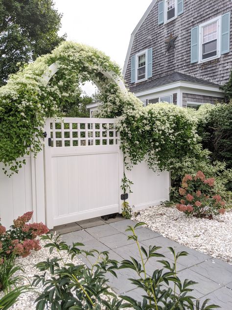 Sweet Autumn Clematis - Finding Silver Pennies Porch Projects, Clematis Trellis, Sweet Autumn Clematis, Garden Archway, Autumn Clematis, Endless Summer Hydrangea, Rustic Porch, Garden Arbor, Planting Hydrangeas