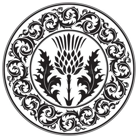 Thistle flower and ornament round leaf thistle. The Symbol Of Scotland. Isolated on white, vector illustration royalty free illustration Scottish Tattoos, Scottish Symbols, Scotland Aesthetic, Thistle Tattoo, Leaf Symbol, Scottish Celtic, Thistle Design, Thistle Flower, Celtic Patterns